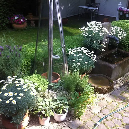 Lilis Kleines 3* מונסטר