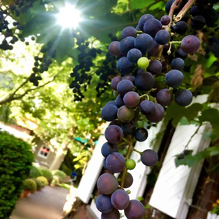 Lilis Kleines Gasthof 3*