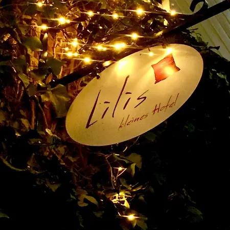 Lilis Kleines مونستر