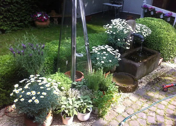 Lilis Kleines 3* 蒙斯特